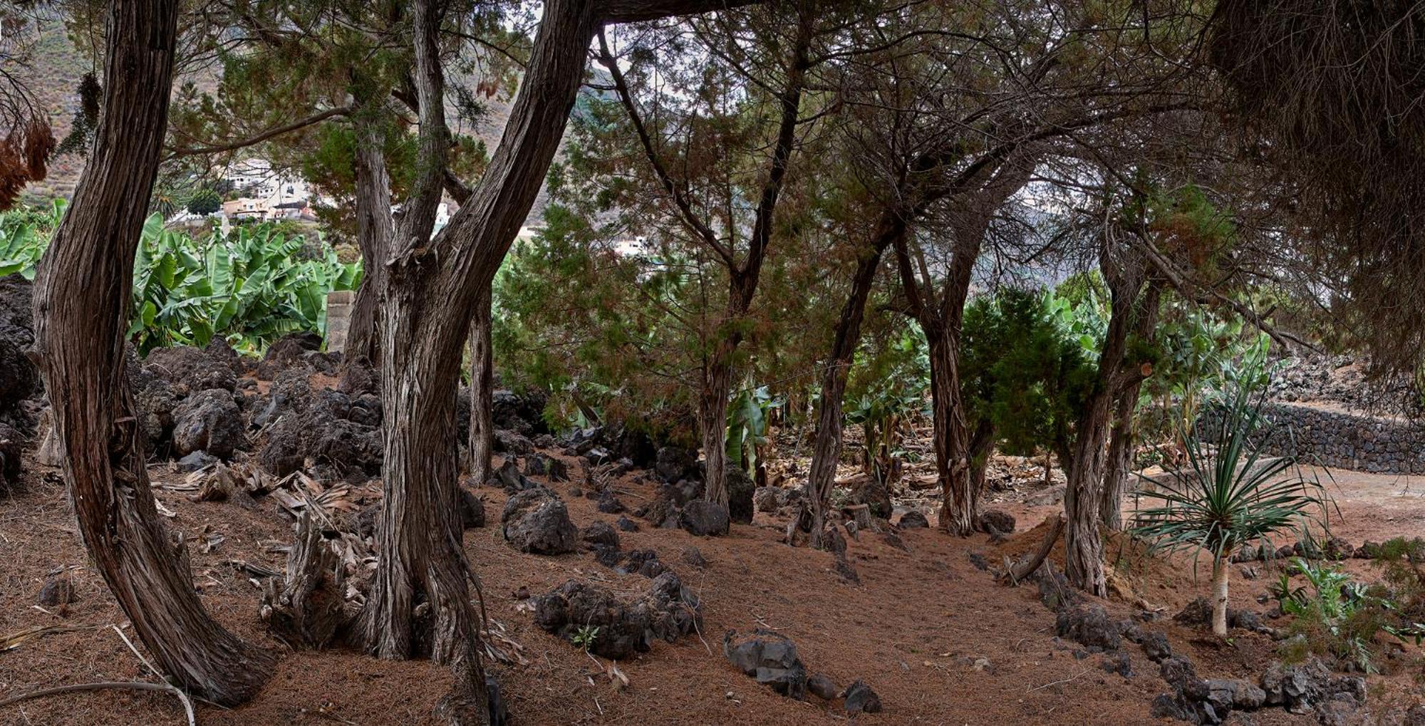 Las Sabinas Villa - El Guincho, Garachico Garachico  Εξωτερικό φωτογραφία